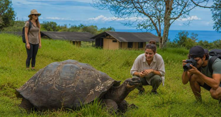 Travelers photographing and observing a giant tortoise on grassy highlands with ocean in distance.