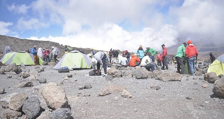 Busy high-altitude campsite on rocky terrain with climbers pitching lime-green tents on Kilimanjaro route.