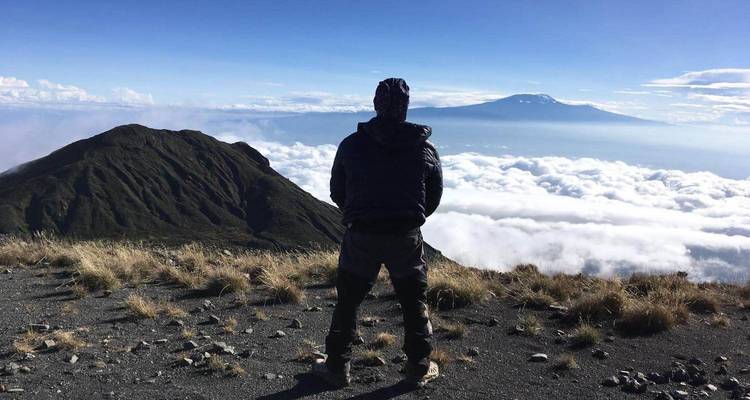 Hiker stands on high ridge above a sea of clouds with snow-capped Kilimanjaro on horizon.