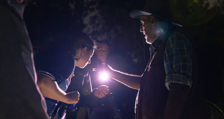Guide shines torch while speaking to visitors during a nocturnal rainforest walk.