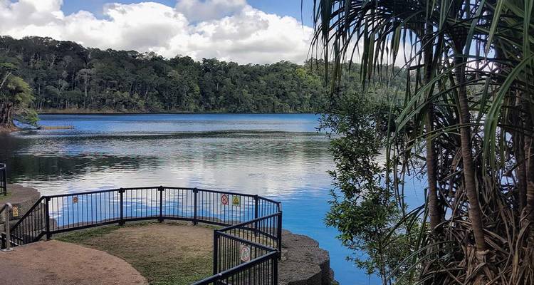 Calm freshwater lake bordered by dense rainforest viewed from a fenced lookout platform.