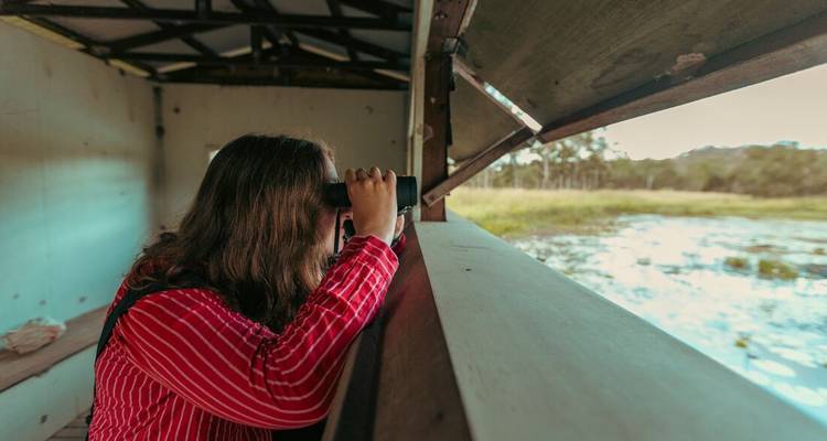 Guest peer-ing through binoculars from a bird-hide overlooking wetlands and water lilies.