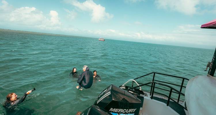 Swimmers in wetsuits enjoy open water beside a tour boat while one person cannonballs in.
