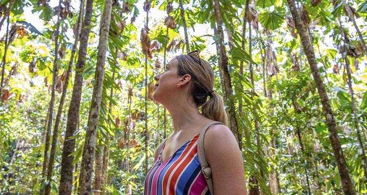 Une femme regarde vers le haut parmi de minces palmiers de la forêt tropicale humide avec une lumière du soleil tachetée filtrant à travers les feuilles.