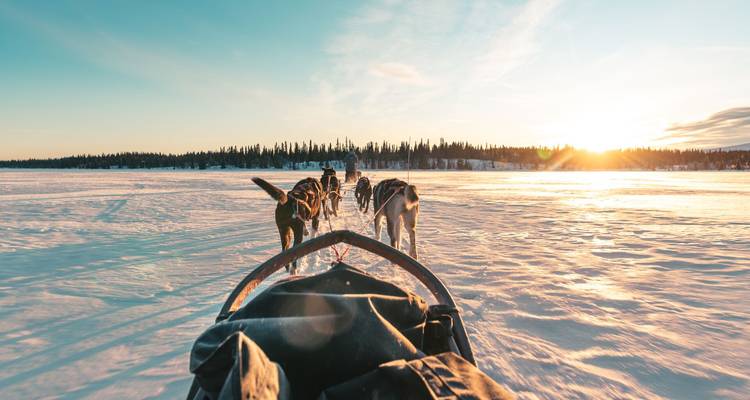 View from a dogsled gliding over a wide frozen lake toward a team of huskies with a low sun on the horizon and pine forest in the distance