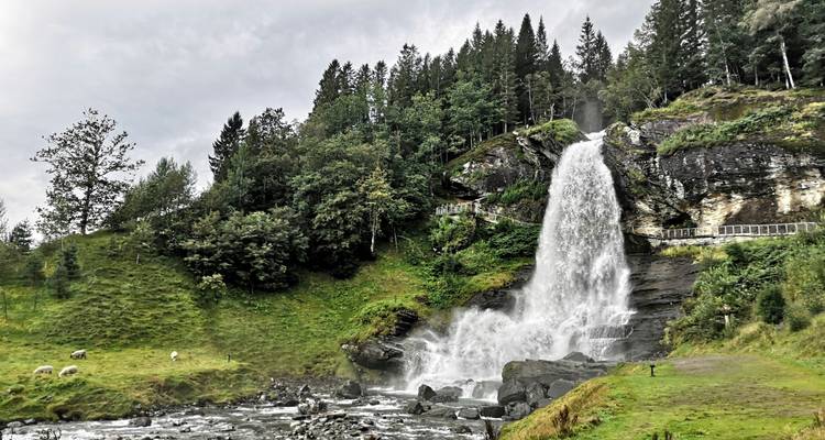 Grande cascade se précipitant sur des rochers dans un ruisseau au milieu de sapins denses sous un ciel nuageux.