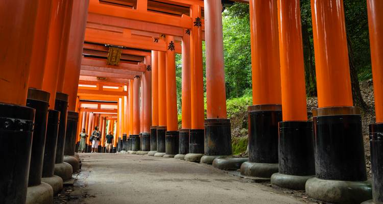 Perspective view through countless bright orange torii gates of a forested shrine path.