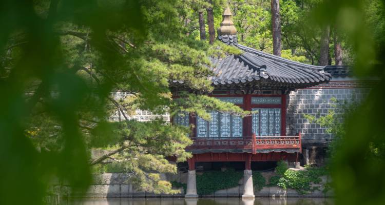 Traditional Korean pavilion partially hidden by green foliage beside a reflective pond.