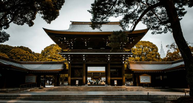 Grand wooden gate of a Shinto shrine framed by tall trees, with visitors standing in the courtyard beneath overcast daylight