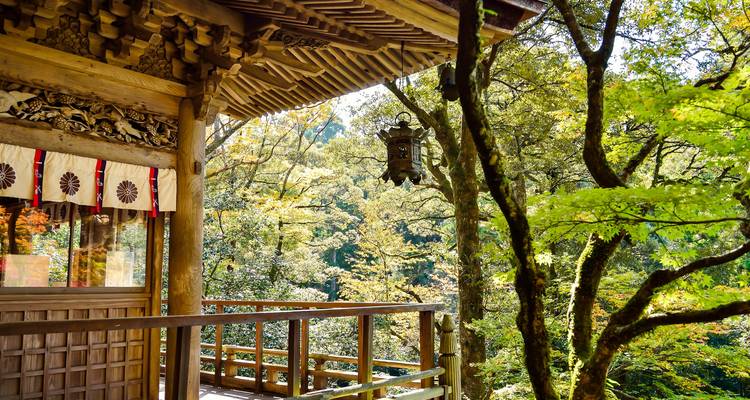 Wooden shrine balcony overlooking a lush green forest with dappled sunlight and a hanging lantern.