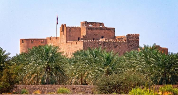Le château de Jabrin de couleur rouille s'élevant au-dessus des luxuriants palmiers dattiers à Oman.