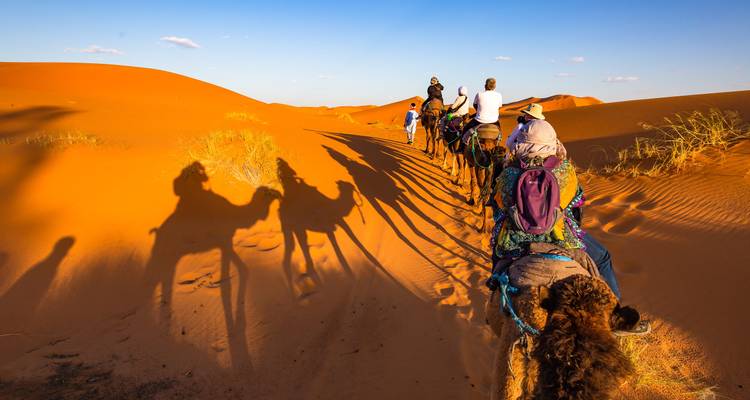 Caravane de chameaux avec des voyageurs projetant de longues ombres sur les dunes ensoleillées en fin d'après-midi.