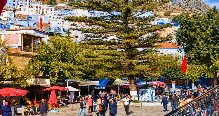 Plaza pública con cafés, puestos de mercado, un gran árbol perenne y visitantes en el centro de la ciudad de Chefchaouen.