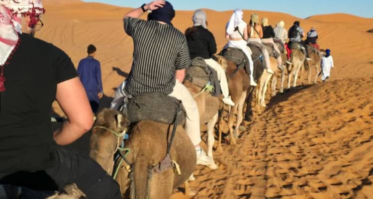 Ligne de touristes chevauchant des chameaux à travers les dunes dorées du Sahara en plein jour