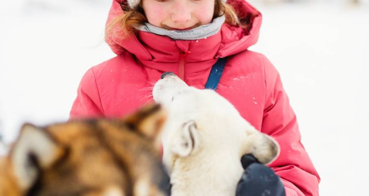 Kind in een rood winterjas lacht terwijl het een vriendelijke husky knuffelt in een sneeuwachtig landschap.