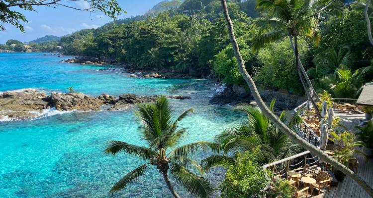 Overlooking a tropical cove with clear aqua water, lush vegetation and an open-air deck bar among the palms.