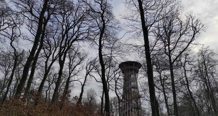 Des arbres de forêt dénudés encadrent une haute tour d'observation en béton s'élevant dans un ciel nuageux.