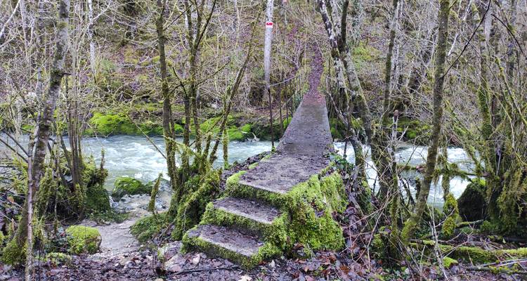 Un étroit pont pour piétons en béton recouvert de mousse enjambe une rivière turquoise au cours rapide dans une forêt.
