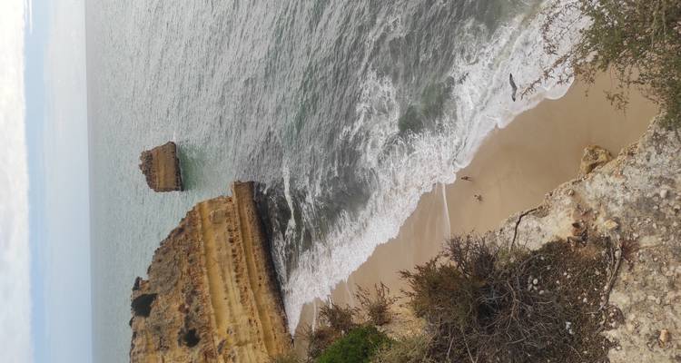 High viewpoint over narrow beach and small sea stack with gentle surf under cloudy sky