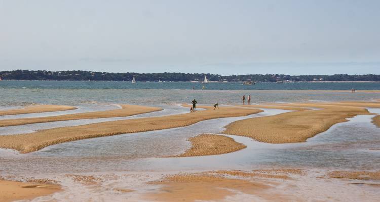 Menschen erkunden gewundene Sandbänke und flache Becken entlang eines breiten Strandes bei Ebbe.
