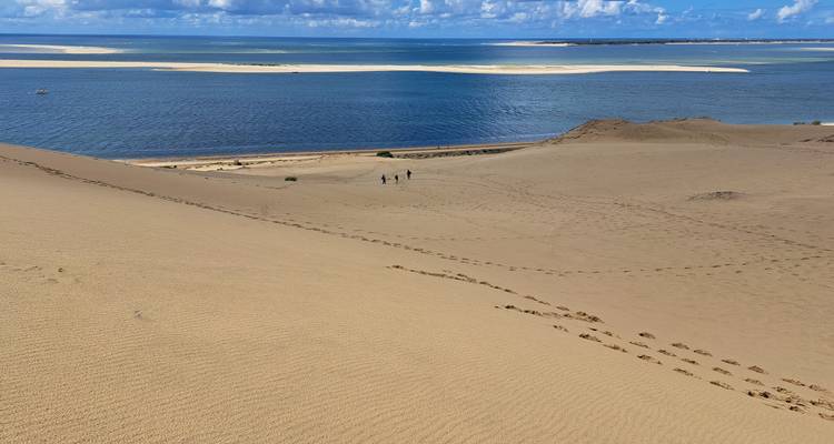 Atemberaubender Panoramablick auf ausgedehnte goldene Düne, die zu einer lebhaften blauen Bucht mit entfernten Sandbänken abfällt.