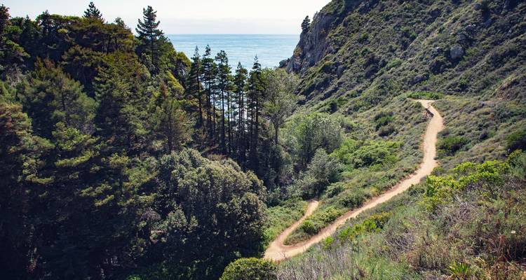 A winding dirt trail snakes through lush coastal forest toward the distant blue Pacific in Big Sur.