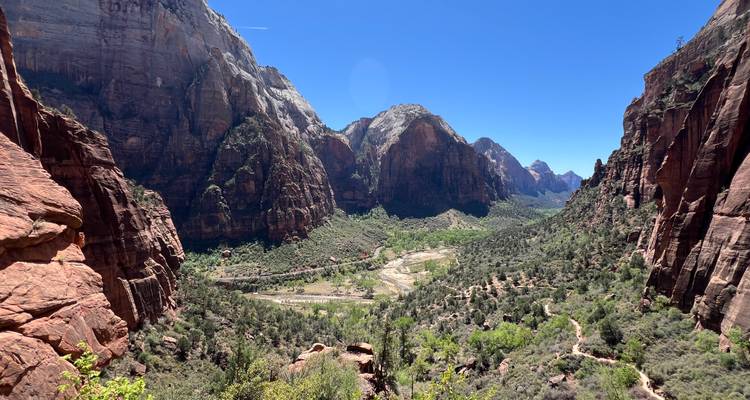 Panoramic view down Zion Canyon with sheer red cliffs on both sides and a green valley floor illuminated by midday sun.