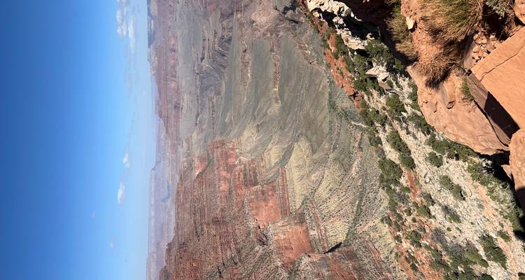 Vast layered expanse of the Grand Canyon stretching to the horizon under a clear blue sky.