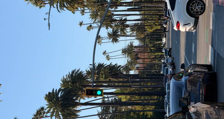 Le trafic attendant sous de grands palmiers sur un boulevard de Beverly Hills.