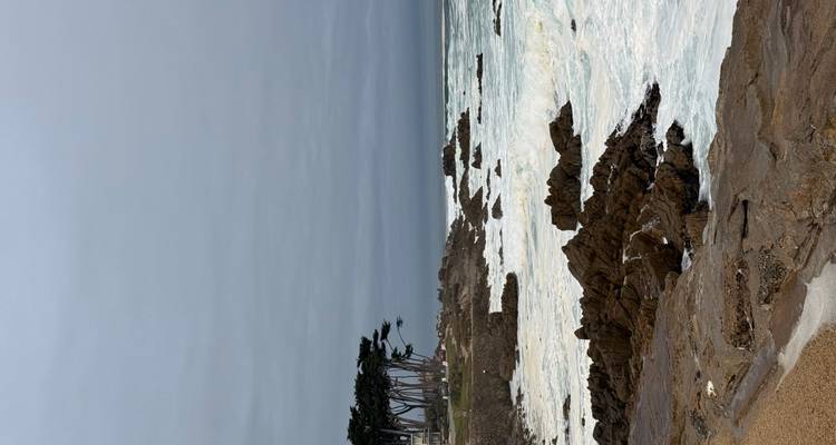 Côte rocheuse avec des vagues qui s'écrasent sous un ciel gris près de Monterey.