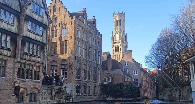 Medieval canal buildings with Bruges belfry rising above leafless trees in winter sun.