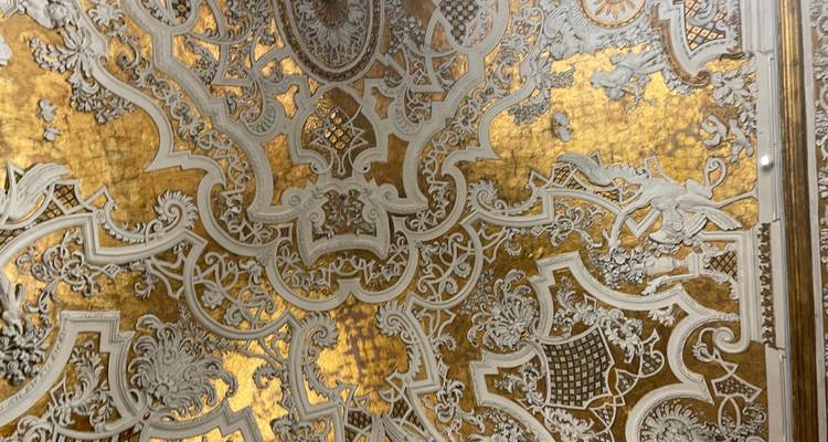 Gedetailleerd fraai goud- en witplafond met barokke motieven en reliëffiguren.