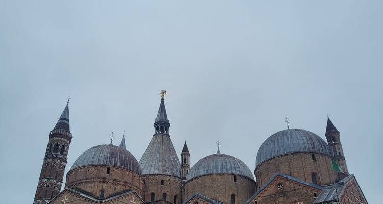Cluster of domes and spires of Padua’s Basilica of Saint Anthony against a pale sky.