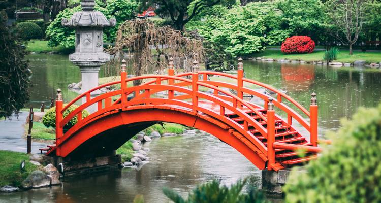Felgekleurde boogbrug over een vijver in de Japanse Tuin op een regenachtige dag