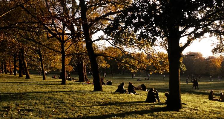 Golden hour scene in a city park with people relaxing on the grass beneath tall trees