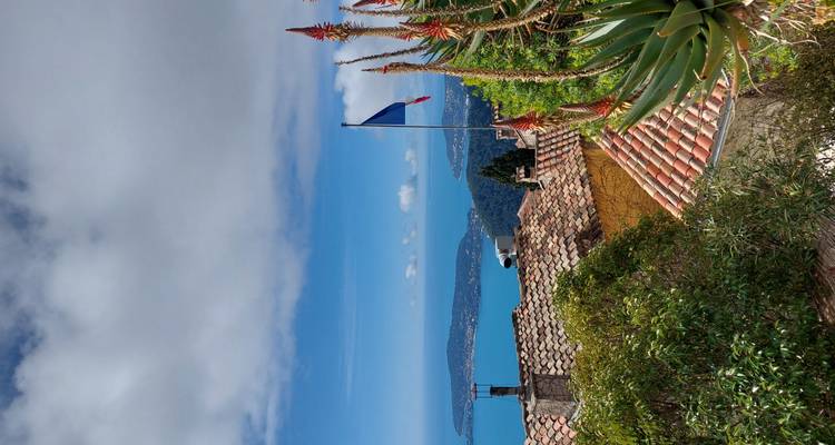 Mediterranes Panorama mit französischer Flagge, Sukkulenten und Halbinseln, die auf das blaue Meer treffen.