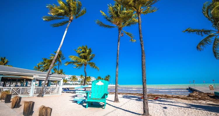 Scène ensoleillée de plage à Key West avec palmiers, sable blanc et géante chaise turquoise