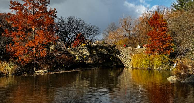 Stone arch bridge reflects in a tranquil Central Park pond amid vivid autumn leaves.