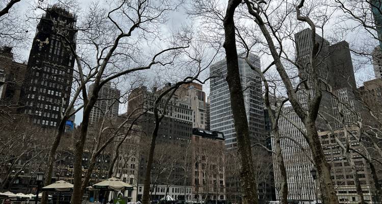 Bare winter trees rise before muted Midtown buildings under a gray sky in Bryant Park.
