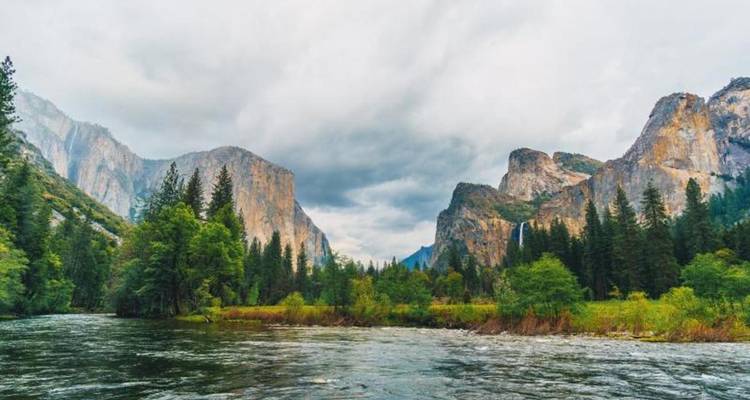 Rivière coulant à travers la vallée de Yosemite avec des monolithes de granit à pic et des forêts de pins.