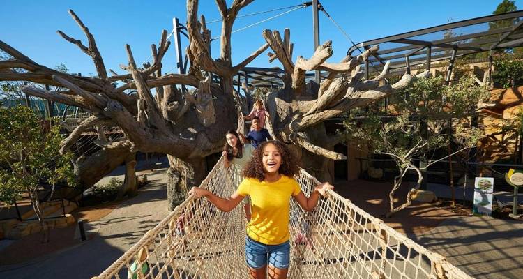 Smiling children cross a rope bridge through a large artificial tree play structure under clear blue sky.