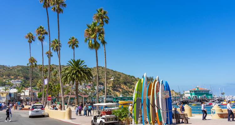 Lively waterfront street on Catalina Island with surfboards display, palm trees and tourists strolling by the marina.