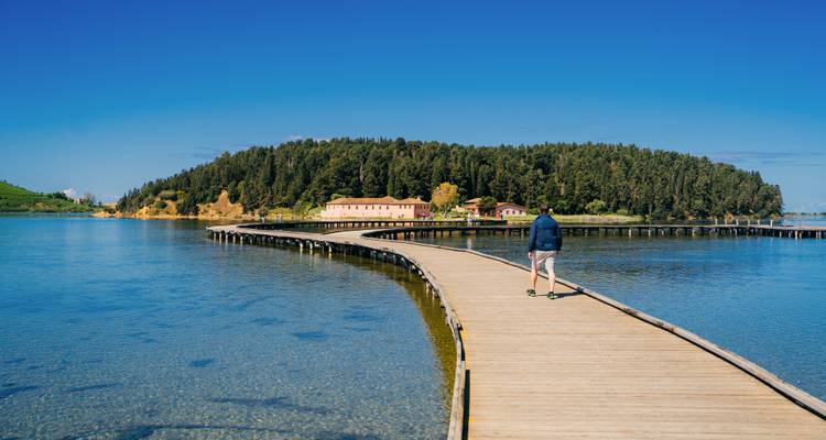 Gewölbter hölzerner Steg über einer ruhigen Lagune, der zu einer bewaldeten Insel führt, auf dem ein einzelner Besucher spaziert