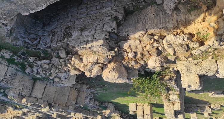 Les ruines de pierre usées par les intempéries et les blocs effondrés d'un ancien établissement avec des parcelles herbeuses entre les murs.