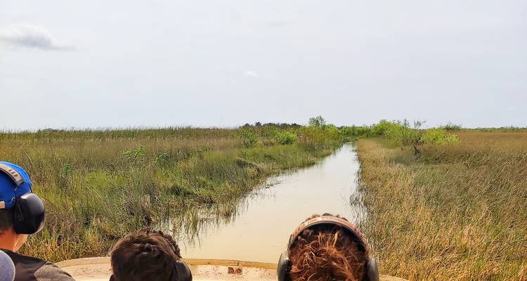 Les passagers portant une protection auditive traversent les terres humides herbeuses des Everglades à bord d'un aéroglisseur.