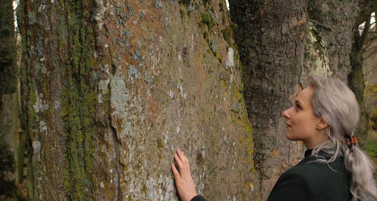 Une femme touchant délicatement une pierre levée ancienne couverte de lichen dans un cadre forestier.