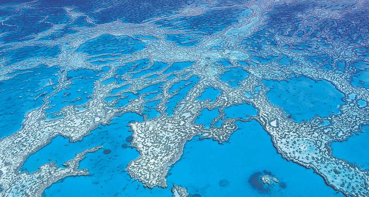 Stunning aerial mosaic of bright blue Great Barrier Reef coral formations.
