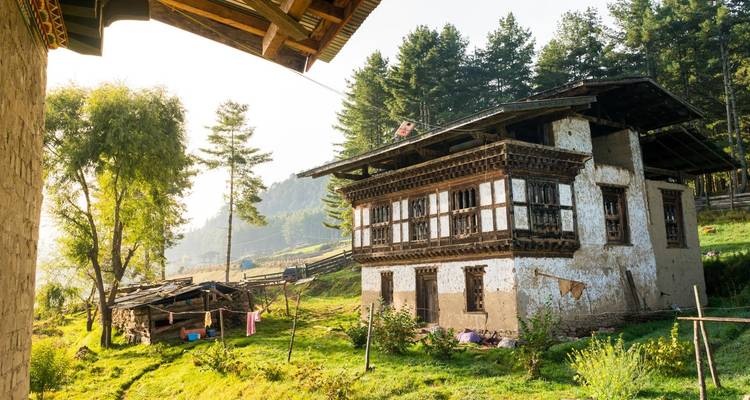 Ein traditionelles bhutanisches Bauernhaus steht inmitten grüner Wiesen mit rustikalen Nebengebäuden und hohen Kiefern.