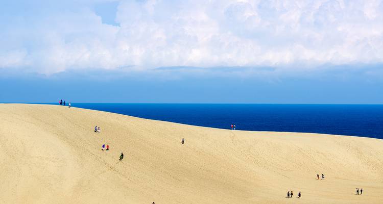 Las vastas y doradas Dunas de Arena de Tottori encontrándose con el profundo azul del Mar de Japón con pequeños visitantes