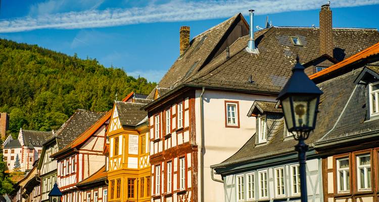 Quaint timber-framed houses with forested hillside backdrop under streaky blue sky.